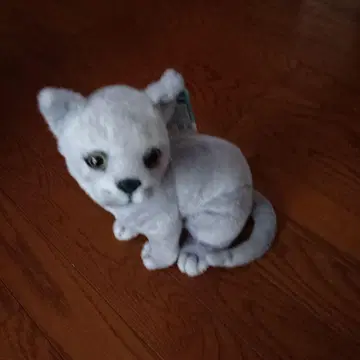 그레이 고양이 봉제 인형