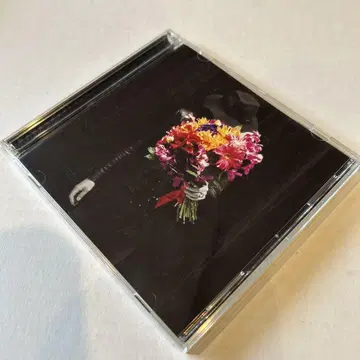 초회 한정판 DVD 포함 안녕 최종 병기