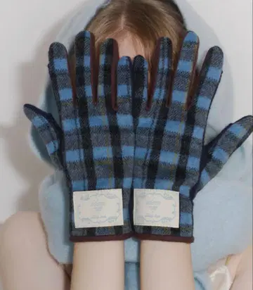 idem 이뎀 british check gloves