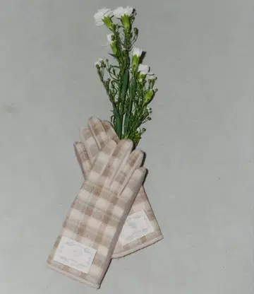 idem 이뎀 british check gloves