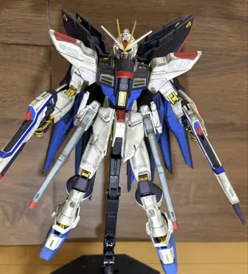 MG 스트라이크 프리덤 건담