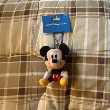 도쿄 디즈니 리조트 미키마우스 키링 택 포함