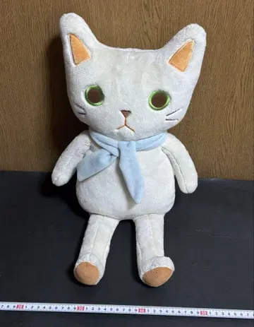 고양이 봉제 인형 머플러 포함 화이트 고양이 그린 눈 귀여운
