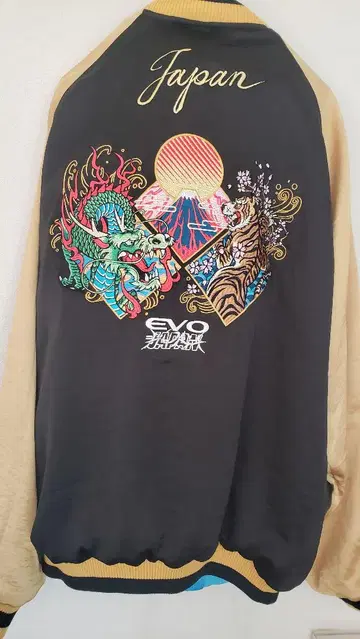 EVO JAPAN 2024 스카잔