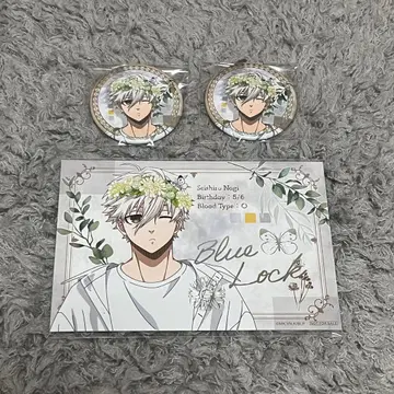 블루 록 flower crown 캔뱃지 엽서