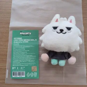 TXT 뿔바투 용몽 키링 초기