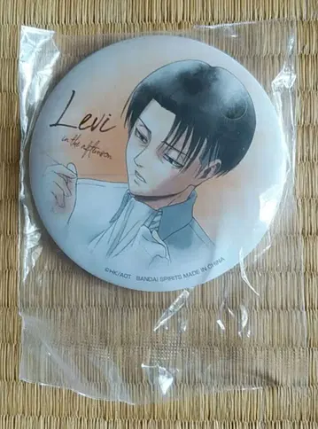 [ 익명 배송 ] 제일복권 진격의 거인 조사병단 조사 보고 캔뱃지 리바이