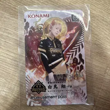 백조 쇼 프로 amusement pass