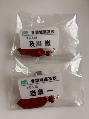 하이큐 참 포함 네임 배지