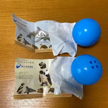 하시모토 미오 피규어 에노시마 수족관 한정판