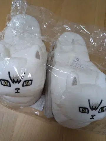 하이큐 이나리자키 키타 신스케 여우