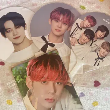 TXT 부채 프리미엄 사진 세트