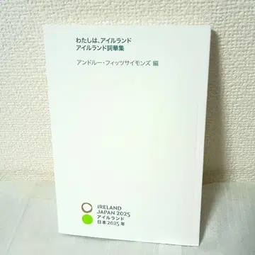 만박 아일랜드 시집