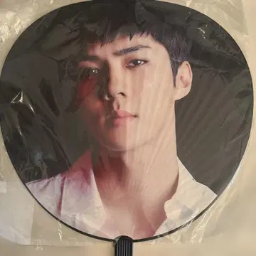 EXO 공식 부채 세훈