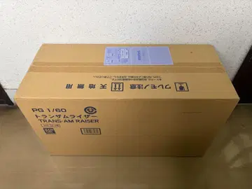 PG 1/60 트랜잠 라이저