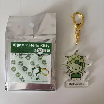 헬로 키티 아크릴 키링 ALGAE