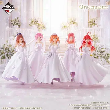 5등분의 신부 제일복권 Gracemaster 웨딩 드레스 5체 세트