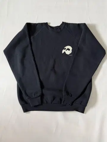 FRUIT OF THE LOOM 오페라의 유령 맨투맨 트레이닝복 XL