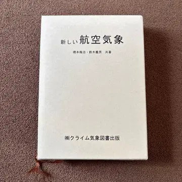 새로운 항공 기상