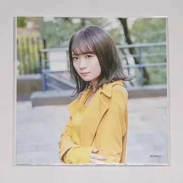 아키모토 마나츠 정전기 흡착 포스터 time flies