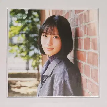 카케하시 사야카 정전기 흡착 포스터 time flies