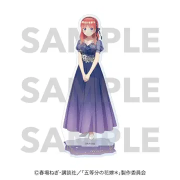 Night sky color Dress 아크릴 스탠드 나카노 니노