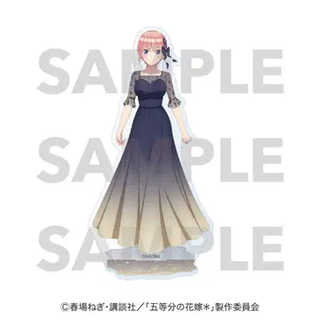 Night sky color Dress 아크릴 스탠드 나카노 이치카