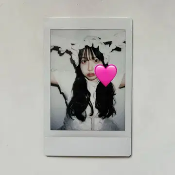 사쿠라바 하루카 폴라로이드