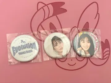 스가이 유카 캔 배지 팬미팅 3개