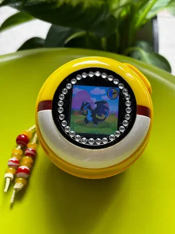 포켓데루 가챠