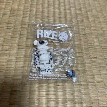 RIZE BE@RBRICK 피규어
