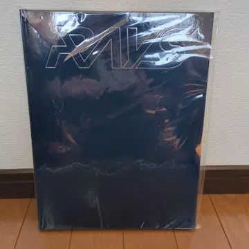 RAYS 팜플렛