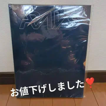 RAYS 팜플렛