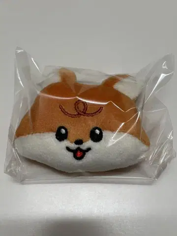 NCT DREAM Dreamiez 런쥔 랜덤 배지