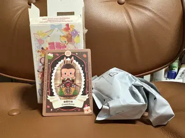 POP MART 15주년 기념 시리즈 labubu