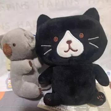 복복냥 앉아 마스코트 쿠로스케 쿠로스케의 코알라 마스코트