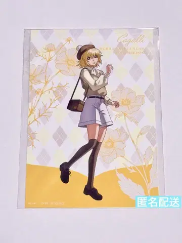 건담 SEED FREEDOM preppy style 카가리 엽서
