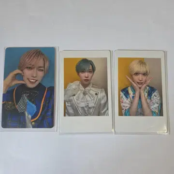 팬더드래곤 타이가 하피카 트레이딩 카드