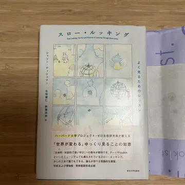 슬로우 루킹 : 잘 보기 위한 레슨