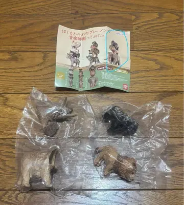 하시모토 미오 맹수들의 음악대