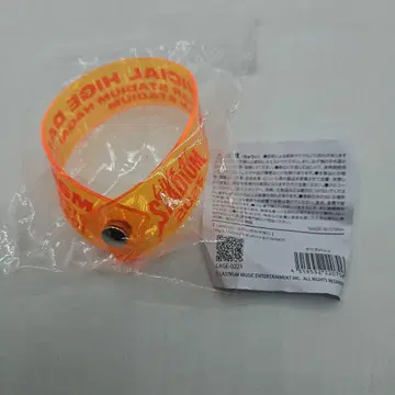 히게단 히게오토코 LIVE AT STADIUM 2025 러버 밴드
