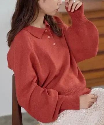 kastane 카스타네 커브 슬리브 폴로 니트 레드