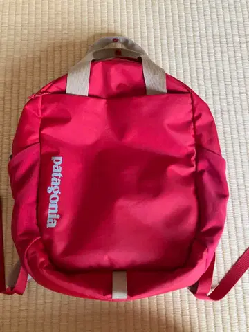 patagonia 빨간색 백팩