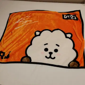 BTS BT21 RJ 담요