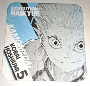 하이큐!! 호시우미 코라이 코스터 하이큐전