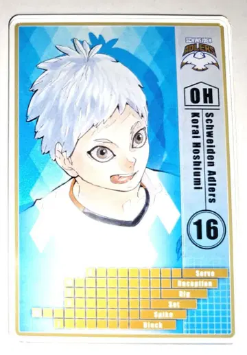 하이큐!! 세이카이 코라이 스탯 카드 점프샵