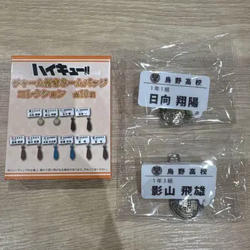 하이큐 참 포함 네임 배지 컬렉션 히나타 쇼요 카게야마 토비오