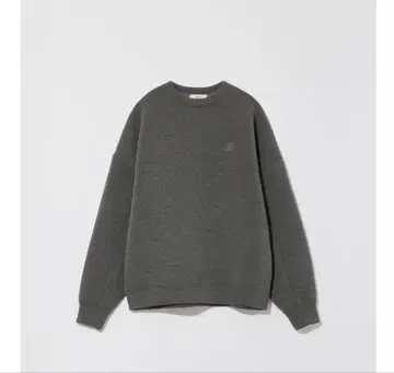 eaphi LOGO BIG SWEAT