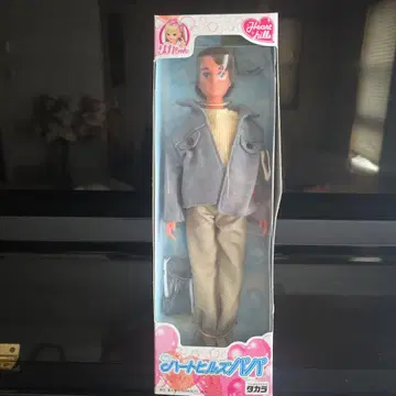 리카짱 아빠 인형 약 27cm