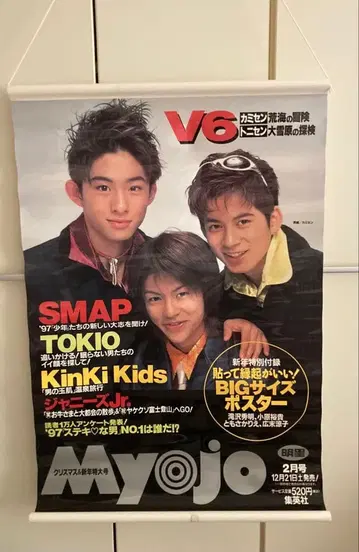 V6 카미센 Myojo 태피스트리